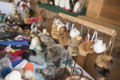 Frühlingsausstellung-2019-20190512-_DSC3568