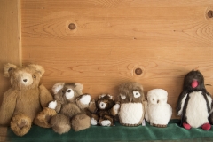 Frühlingsausstellung-2019-20190512-_DSC3569