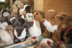 Frühlingsausstellung-2019-20190512-_DSC3573