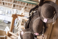 Frühlingsausstellung-2019-20190512-_DSC3574