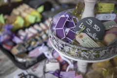 Frühlingsausstellung-2019-20190512-_DSC3576