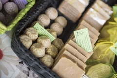 Frühlingsausstellung-2019-20190512-_DSC3579