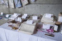 Frühlingsausstellung-2019-20190512-_DSC3584