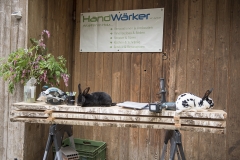 Frühlingsausstellung-2019-20190512-_DSC3623