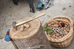 Frühlingsausstellung-2019-20190512-_DSC3626