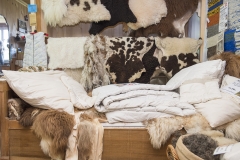 Frühlingsausstellung-2019-20190512-_DSC3665