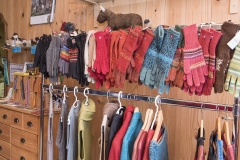 Frühlingsausstellung-2019-20190512-_DSC3666