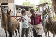 Frühlingsausstellung-2019-20190512-_DSC3733