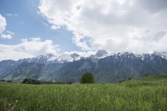 Frühlingsausstellung-2019-20190512-_DSC3746