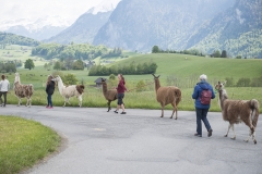 Frühlingsausstellung-2019-20190512-_DSC3748