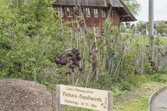 Frühlingsausstellung-2019-20190512-_DSC3751