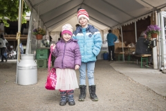 Frühlingsausstellung-2019-20190512-_DSC3755