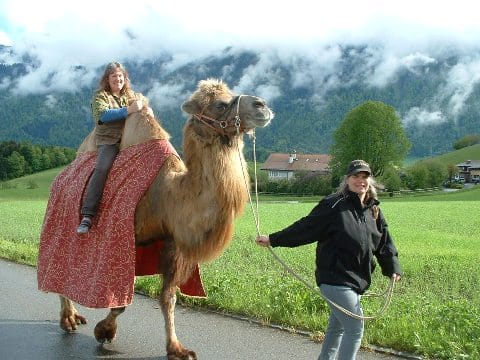 Eine Frau reitet auf einem Kamel, das von einer anderen Frau an einem Seil geführt wird, durch eine ländliche Landschaft mit Bergen im Hintergrund.