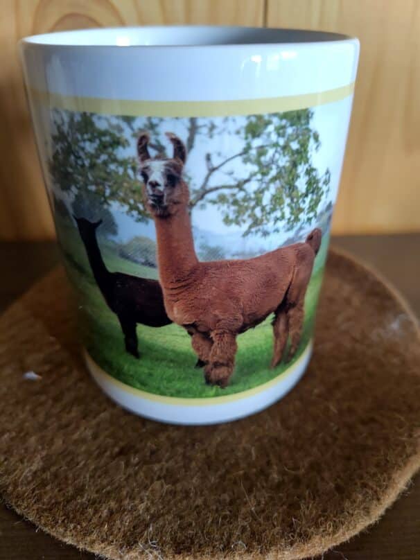 Eine Tasse mit einem Bild von zwei Alpakas auf einer grünen Wiese, eines ist braun und im Vordergrund, das andere schwarz und im Hintergrund, vor einem Baum mit grünen Blättern.