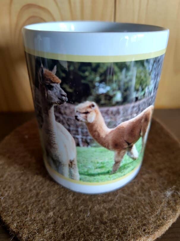 Weiße Tasse mit einem Bild von zwei Alpakas auf einer Wiese, das auf der Seite der Tasse gedruckt ist, auf einem Filzuntersetzer stehend.
