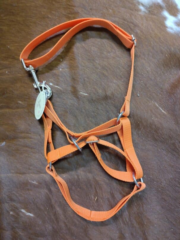 Ein orangefarbenes Halfter aus Nylon liegt auf einem braunen Fell. Es hat mehrere Metallschnallen und Ringe zur Anpassung und Befestigung.