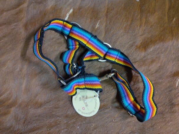 Ein buntes Hundehalsband mit Regenbogenstreifen und einer runden Metallplakette liegt auf einer braunen Oberfläche.