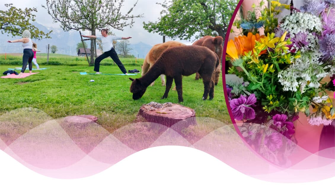 Personen machen Yoga neben Alpakas auf einer Wiese, daneben ein bunter Blumenstrauß.