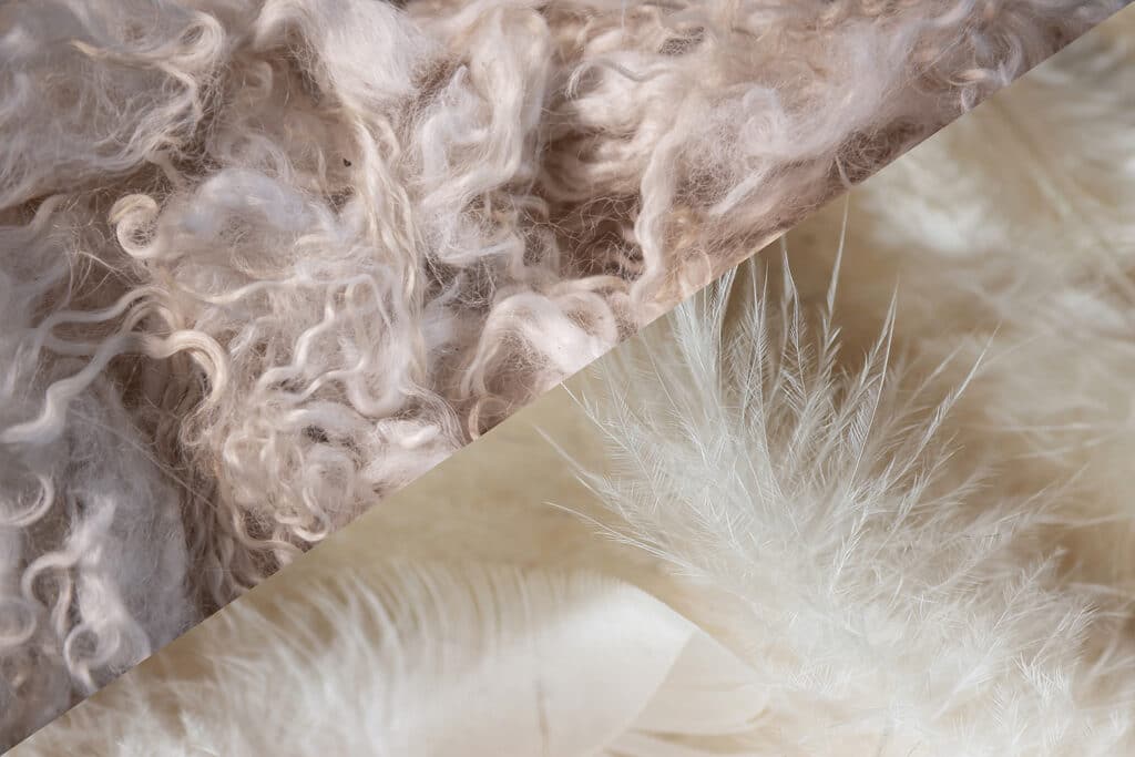 Alpaka vs. Daunen: Warum ein Alpaka-Lamawollduvet die beste Wahl für gesunden Schlaf ist