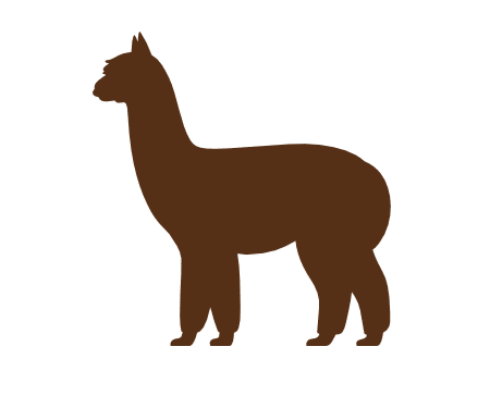 Silhouette eines Alpakas von der Seite auf weißem Hintergrund.