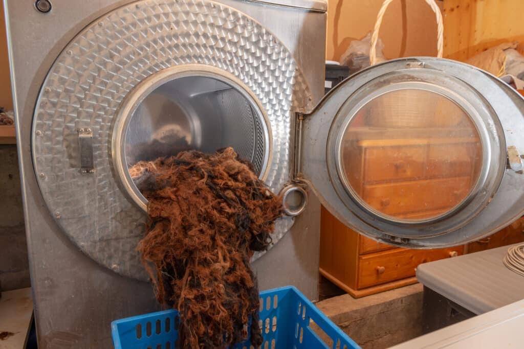 Eine geöffnete Waschmaschine, aus der braune und schwarze Wolle herausquillt, mit einem blauen Wäschekorb davor.