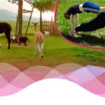 Familienyoga auf der Weide