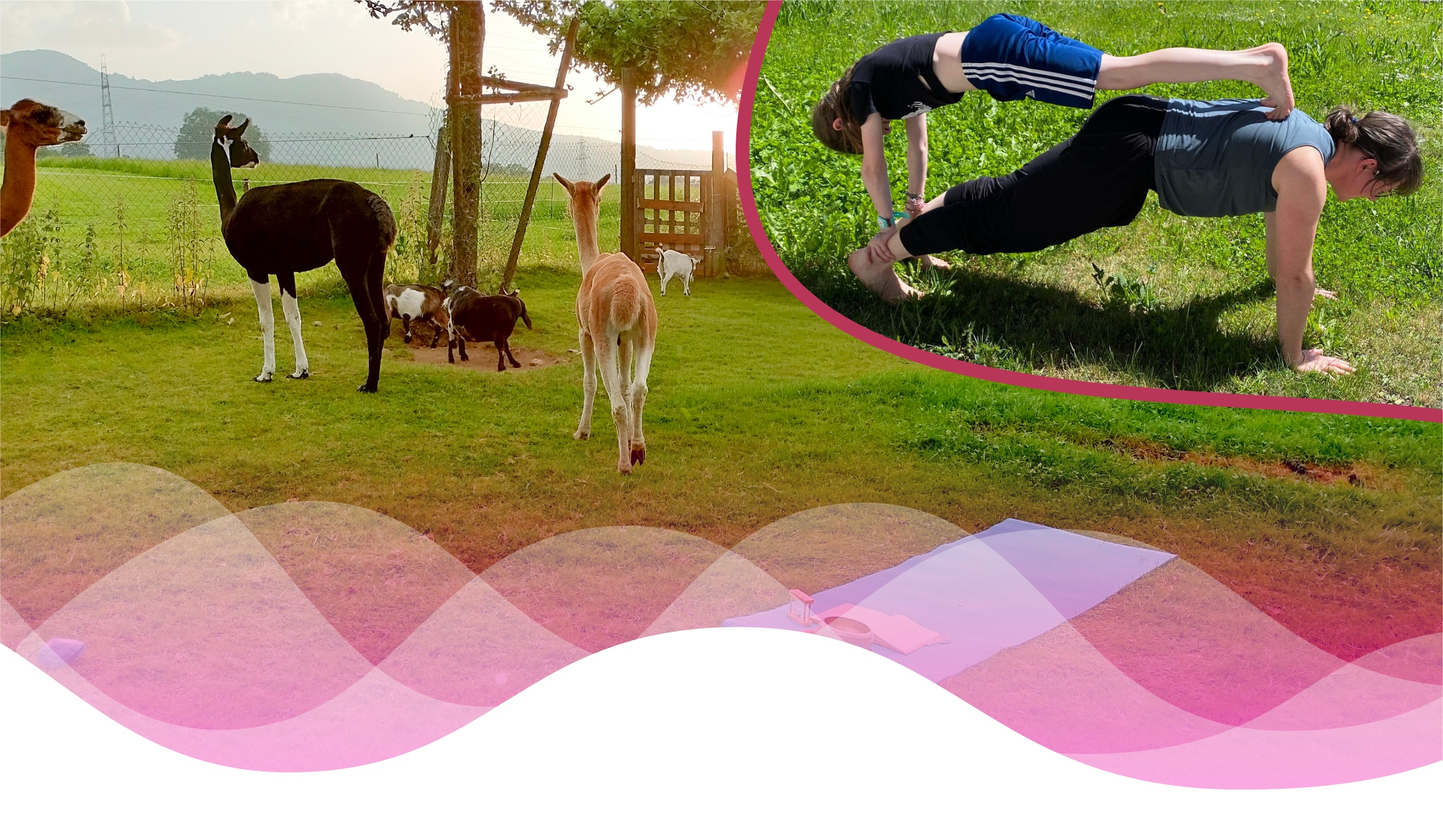 Alpakas und Ziegen auf einer Wiese links; Frau und Kind machen eine Partner-Yogaübung auf einer Matte rechts.