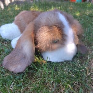 Ein weiches Kuscheltier in Form eines braunen, flauschigen Hasen liegt auf einer Wiese.